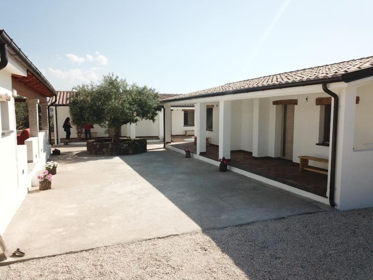 Agriturismo Sa Murta Dorgali Exterior foto