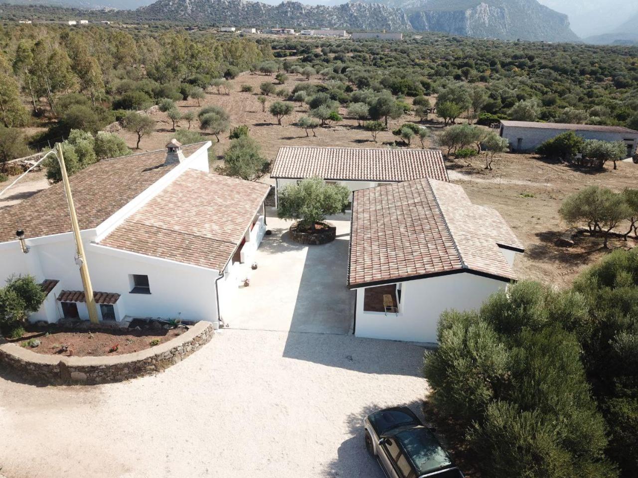 Agriturismo Sa Murta Dorgali Exterior foto