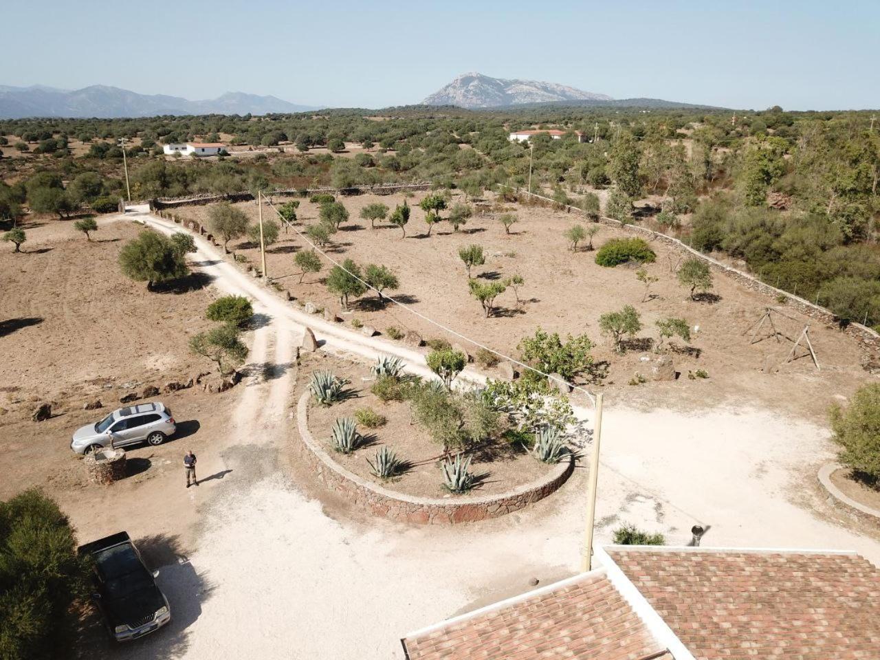 Agriturismo Sa Murta Dorgali Exterior foto