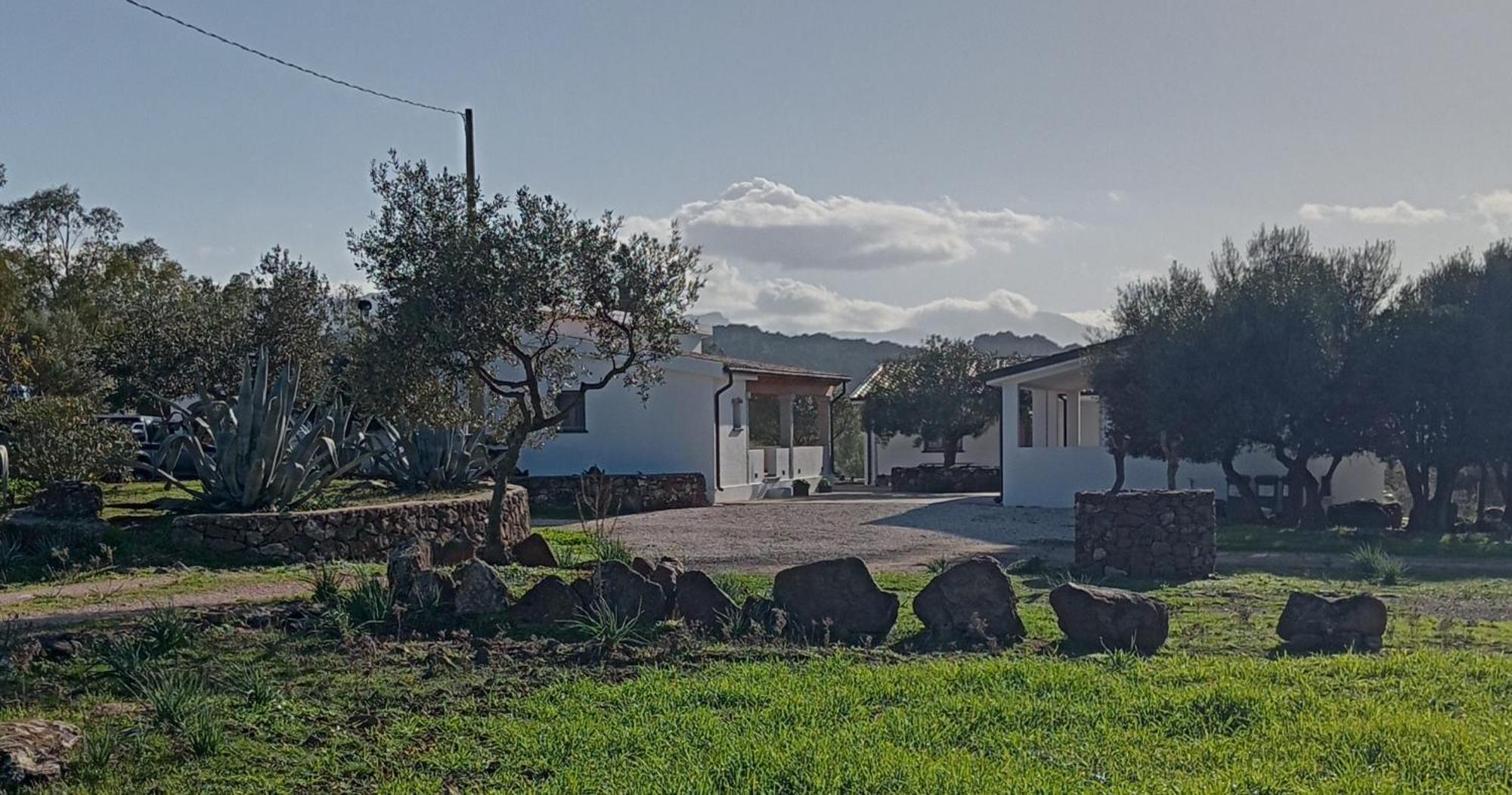Agriturismo Sa Murta Dorgali Exterior foto